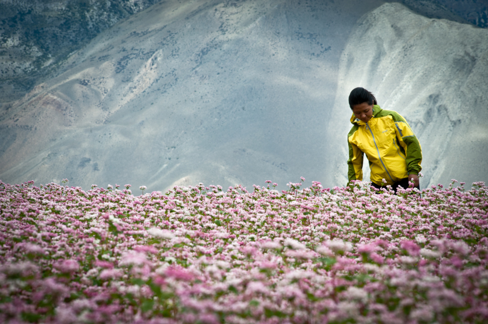 Walk Lightly On The Earth